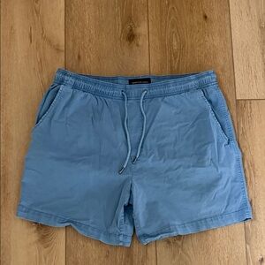 American Eagle Outfitters Light Blue Flex Shorts